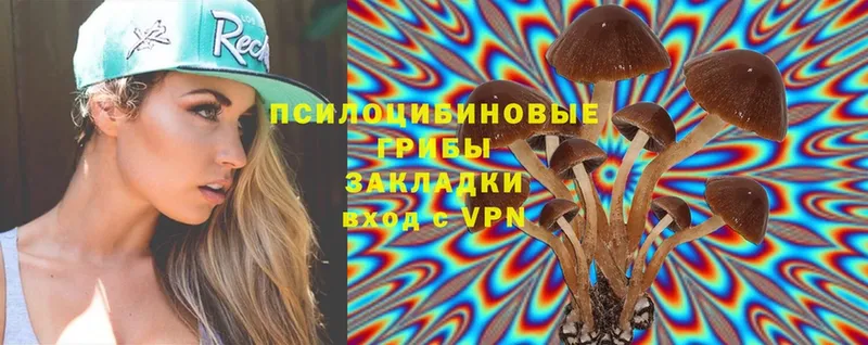 mega ссылка  Верхотурье  Галлюциногенные грибы Psilocybine cubensis 